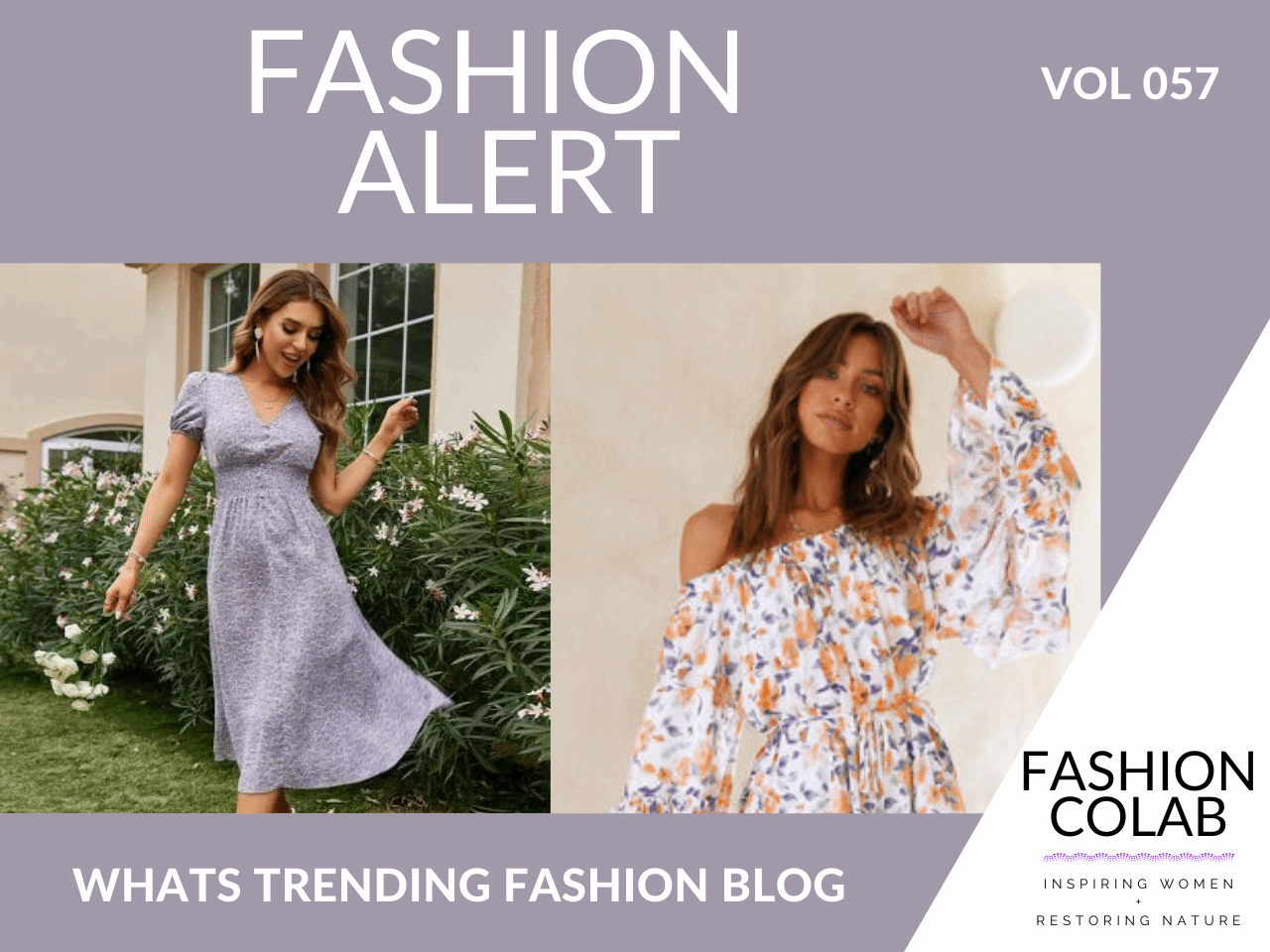 Fashion Alert Blog
