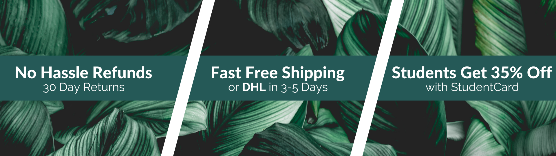 No Hassle refunds with 30 day returns. Fast free shipping or DHL in 3 to 5 days. Students get 35% off with StudentCard.